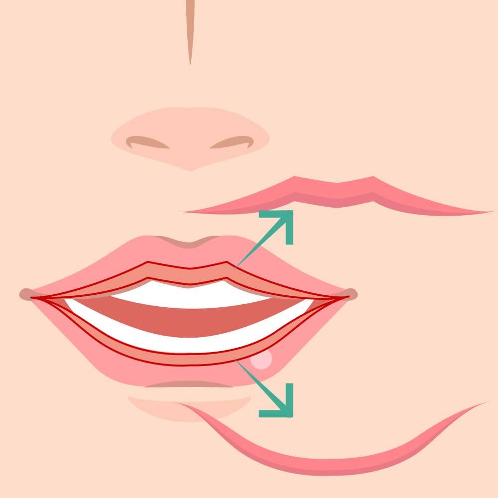 Vector illustration of lips with teal arrows showing the upper lip lifting and lower lip lowering.